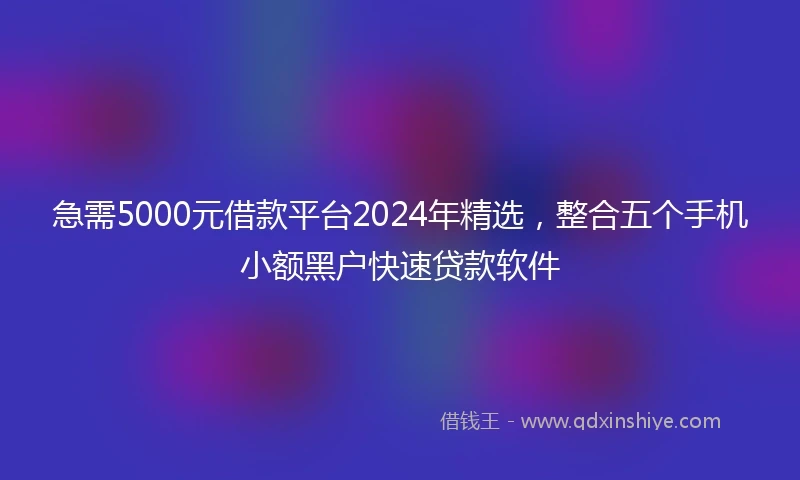 急需5000元借款平台2024年精选，整合五个手机小额黑户快速贷款软件