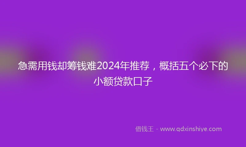 急需用钱却筹钱难2024年推荐，概括五个必下的小额贷款口子