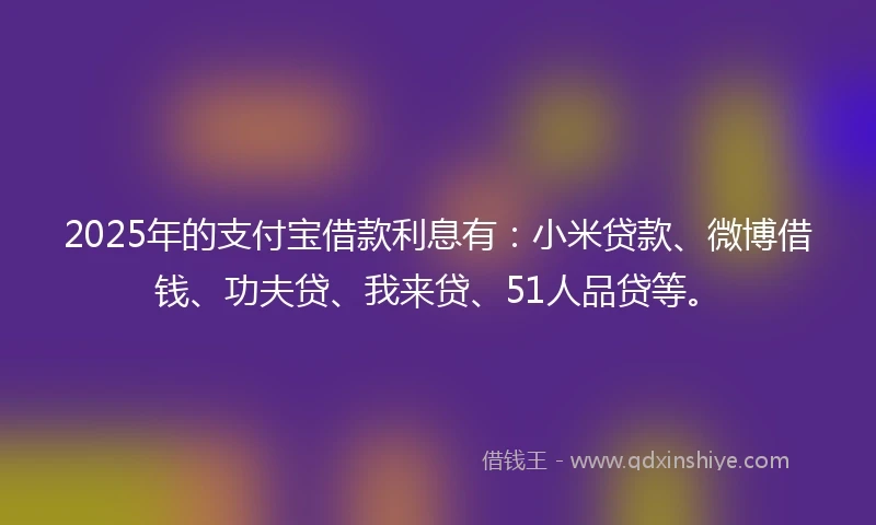 2025年的支付宝借款利息有：小米贷款、微博借钱、功夫贷、我来贷、51人品贷等。