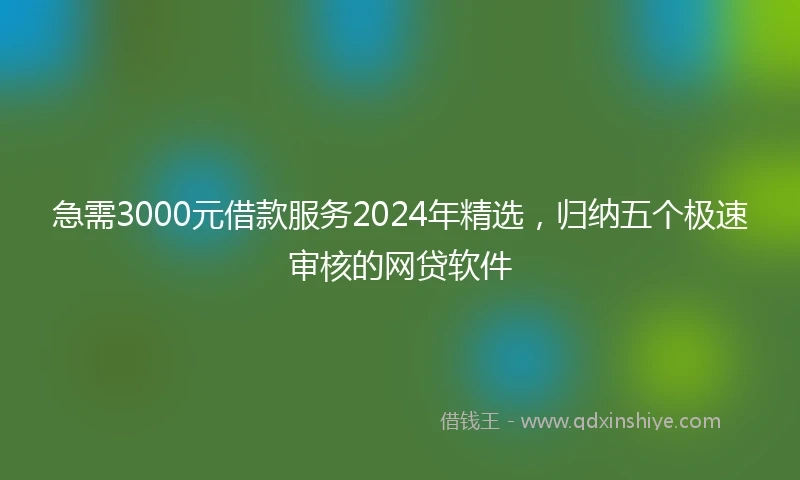急需3000元借款服务2024年精选，归纳五个极速审核的网贷软件