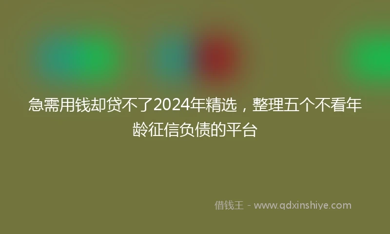 急需用钱却贷不了2024年精选，整理五个不看年龄征信负债的平台