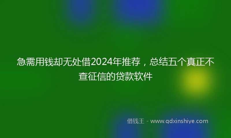 急需用钱却无处借2024年推荐，总结五个真正不查征信的贷款软件