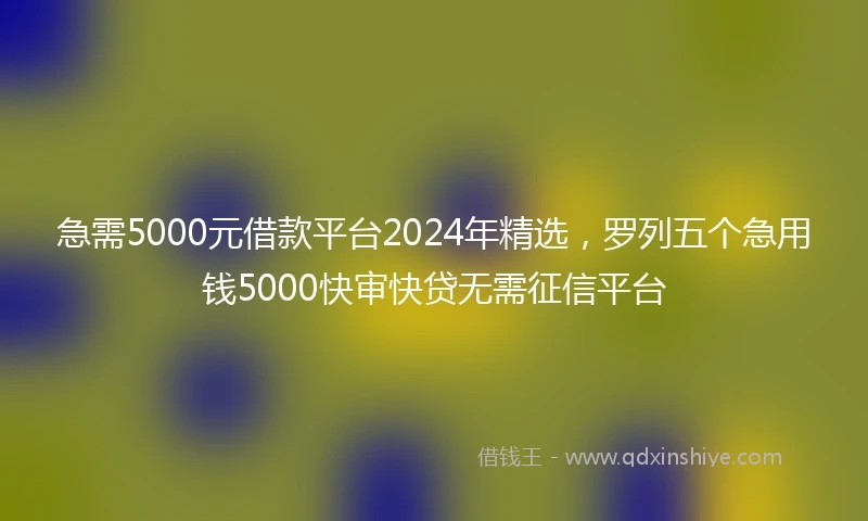 急需5000元借款平台2024年精选，罗列五个急用钱5000快审快贷无需征信平台