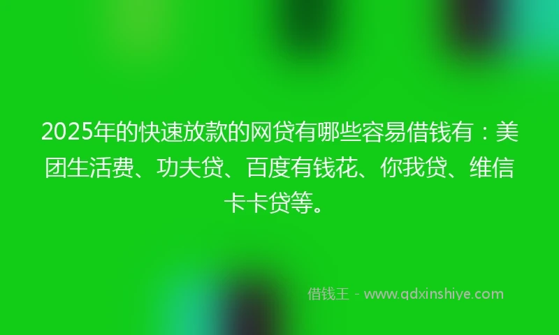 2025年的快速放款的网贷有哪些容易借钱有：美团生活费、功夫贷、百度有钱花、你我贷、维信卡卡贷等。