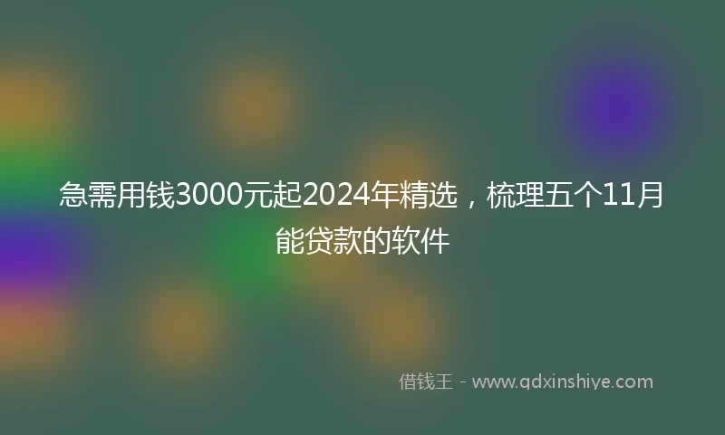 急需用钱3000元起2024年精选，梳理五个11月能贷款的软件