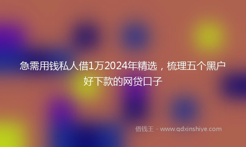 急需用钱私人借1万2024年精选，梳理五个黑户好下款的网贷口子