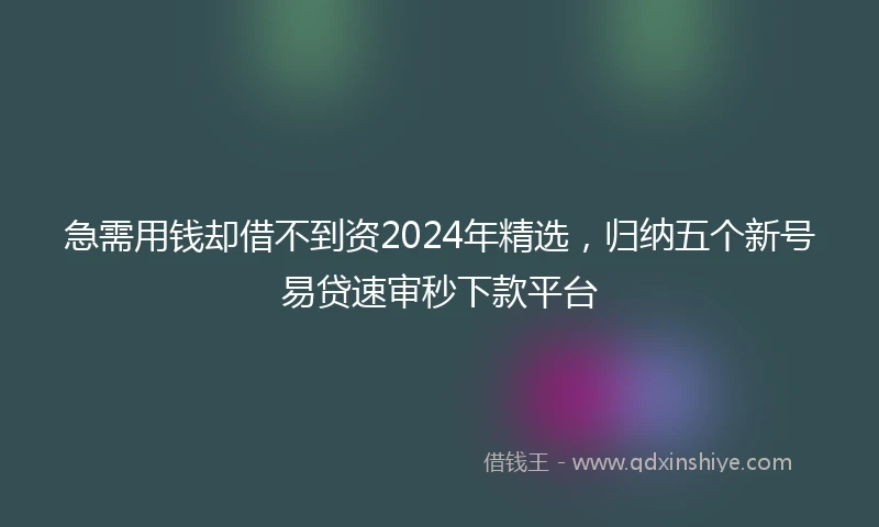 急需用钱却借不到资2024年精选，归纳五个新号易贷速审秒下款平台
