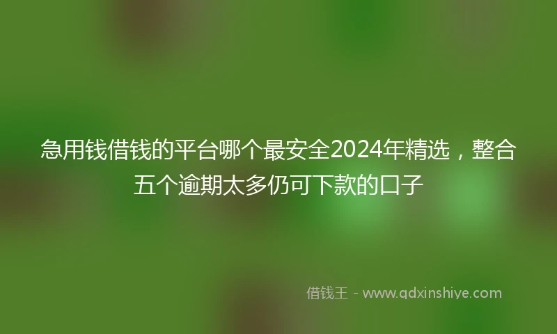 急用钱借钱的平台哪个最安全2024年精选，整合五个逾期太多仍可下款的口子