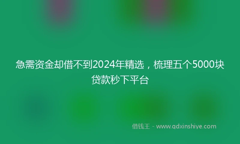急需资金却借不到2024年精选，梳理五个5000块贷款秒下平台