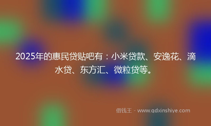 2025年的惠民贷贴吧有：小米贷款、安逸花、滴水贷、东方汇、微粒贷等。