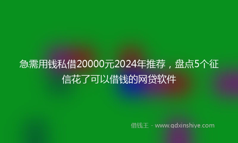 急需用钱私借20000元2024年推荐，盘点5个征信花了可以借钱的网贷软件