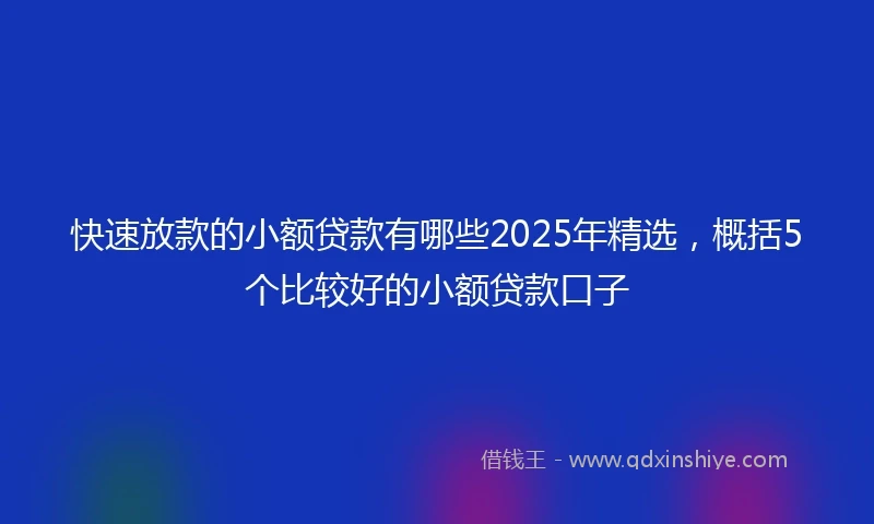 快速放款的小额贷款有哪些2025年精选，概括5个比较好的小额贷款口子