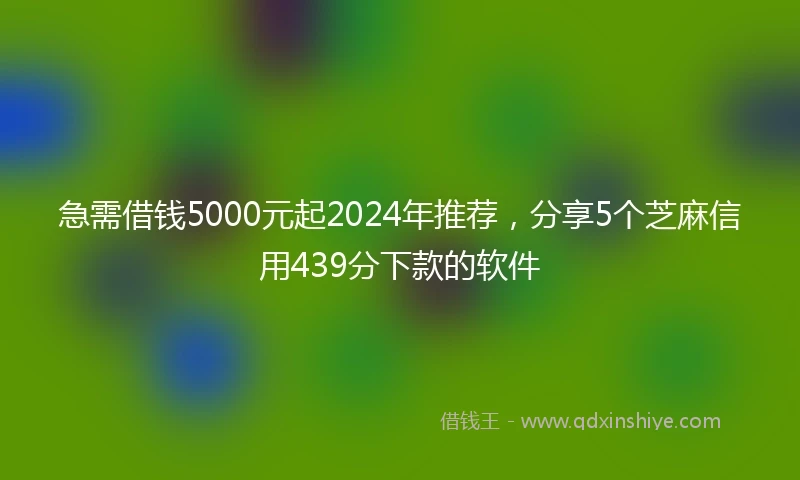 急需借钱5000元起2024年推荐，分享5个芝麻信用439分下款的软件