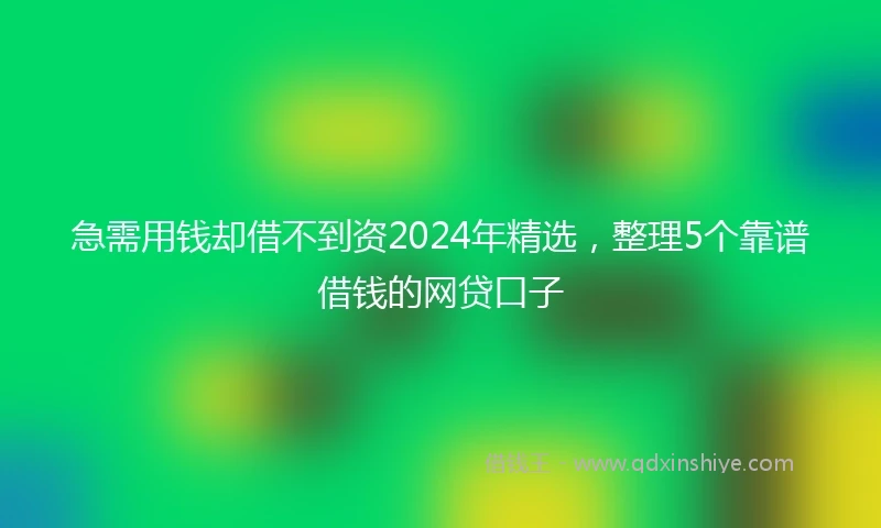 急需用钱却借不到资2024年精选，整理5个靠谱借钱的网贷口子