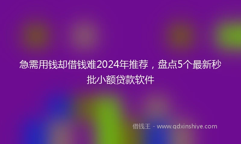 急需用钱却借钱难2024年推荐，盘点5个最新秒批小额贷款软件