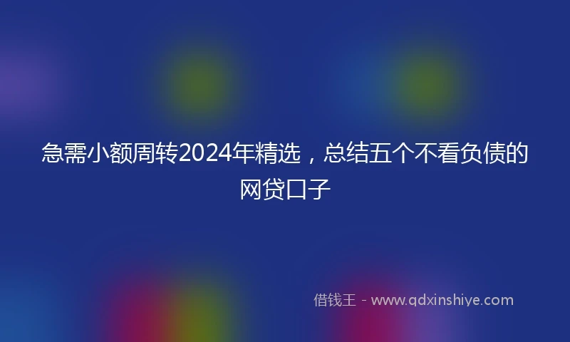 急需小额周转2024年精选，总结五个不看负债的网贷口子