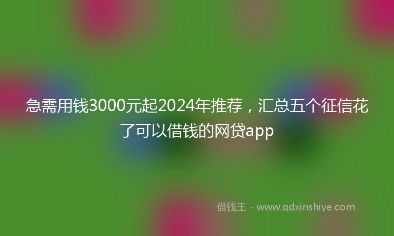 急需用钱3000元起2024年推荐，汇总五个征信花了可以借钱的网贷app