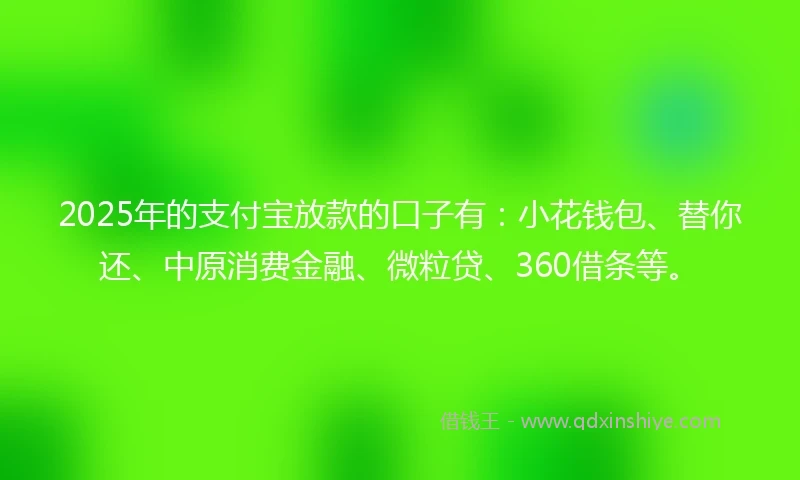 2025年的支付宝放款的口子有：小花钱包、替你还、中原消费金融、微粒贷、360借条等。