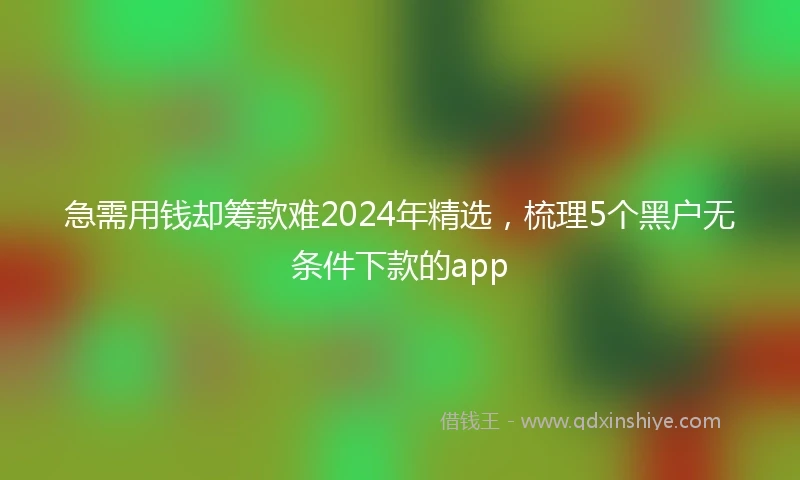 急需用钱却筹款难2024年精选，梳理5个黑户无条件下款的app