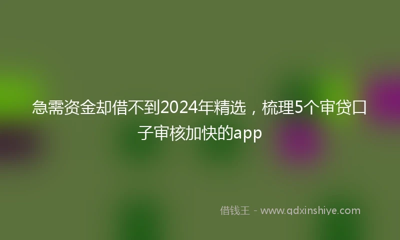 急需资金却借不到2024年精选，梳理5个审贷口子审核加快的app