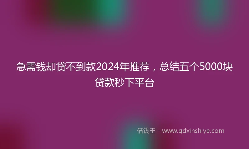 急需钱却贷不到款2024年推荐，总结五个5000块贷款秒下平台