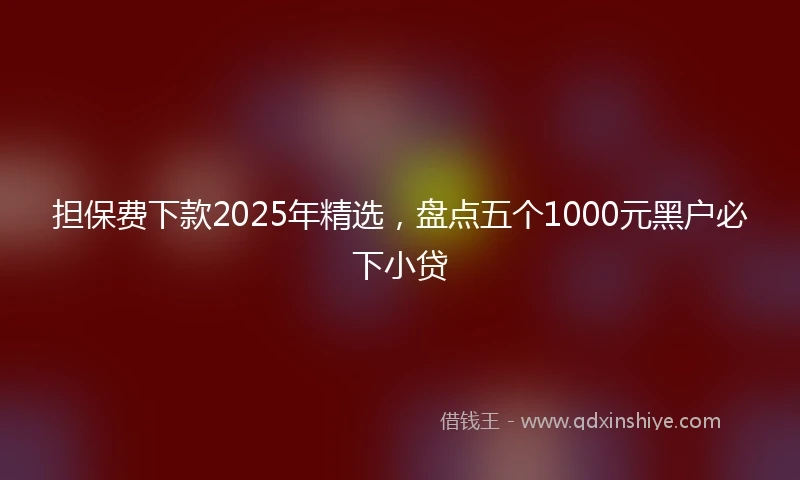 担保费下款2025年精选，盘点五个1000元黑户必下小贷