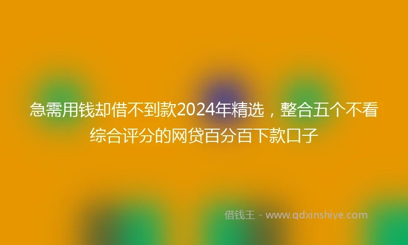 急需用钱却借不到款2024年精选，整合五个不看综合评分的网贷百分百下款口子