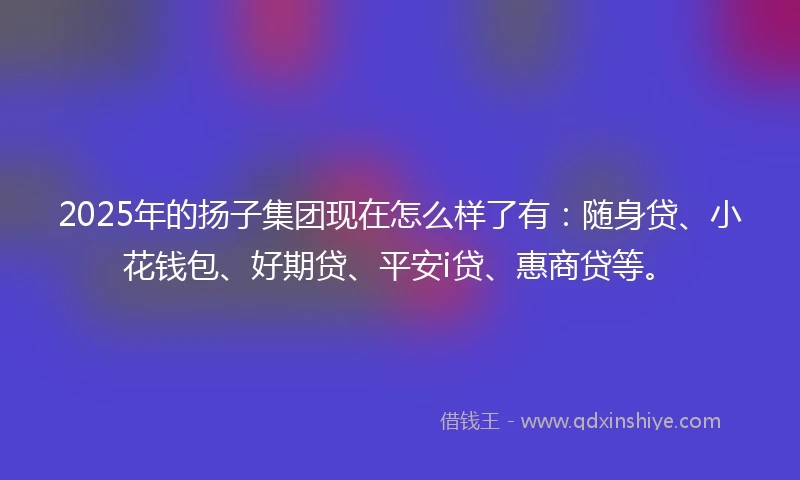2025年的扬子集团现在怎么样了有：随身贷、小花钱包、好期贷、平安i贷、惠商贷等。