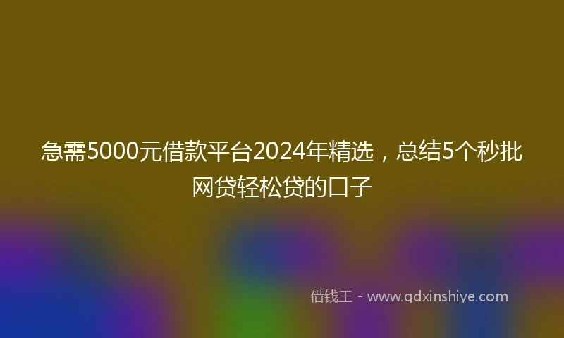 急需5000元借款平台2024年精选,总结5个秒批网贷轻松贷的口子