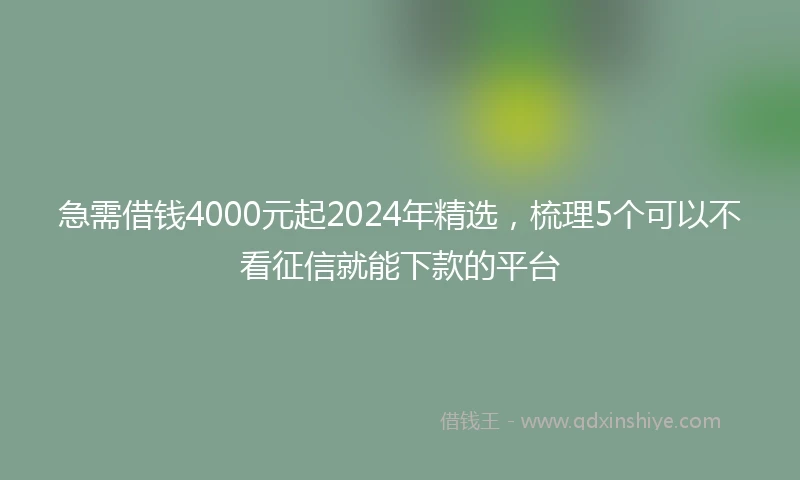 急需借钱4000元起2024年精选，梳理5个可以不看征信就能下款的平台