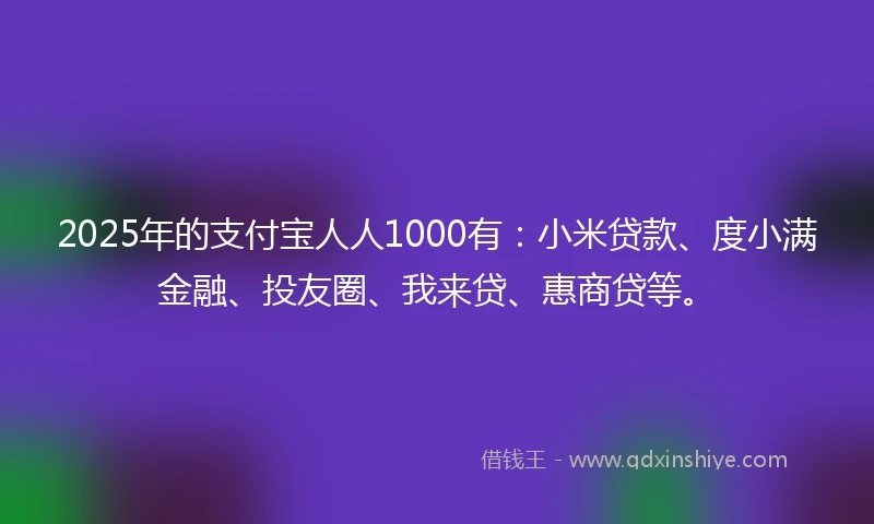 2025年的支付宝人人1000有：小米贷款、度小满金融、投友圈、我来贷、惠商贷等。