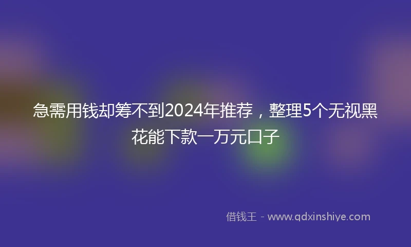 急需用钱却筹不到2024年推荐，整理5个无视黑花能下款一万元口子