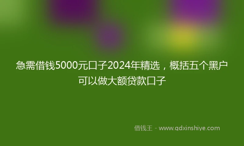 急需借钱5000元口子2024年精选，概括五个黑户可以做大额贷款口子