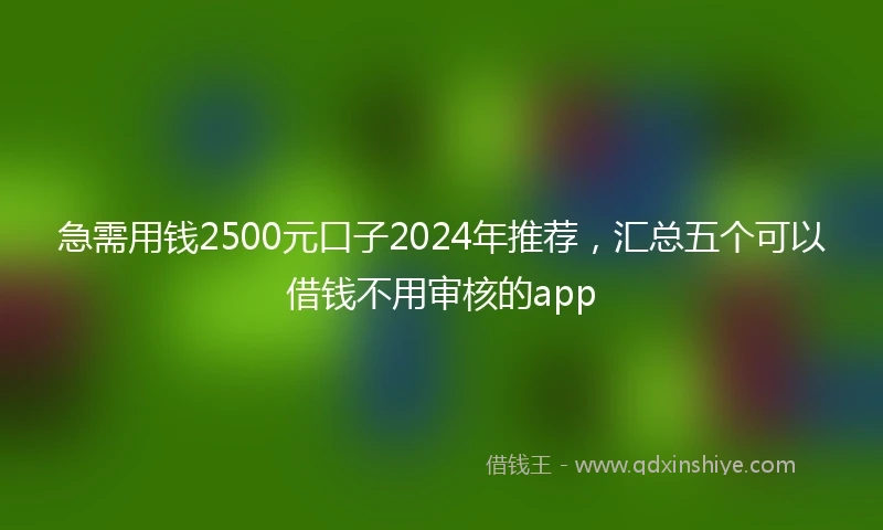 急需用钱2500元口子2024年推荐，汇总五个可以借钱不用审核的app