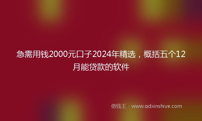 急需用钱2000元口子2024年精选，概括五个12月能贷款的软件