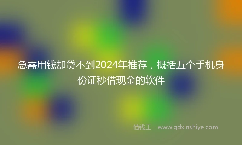 急需用钱却贷不到2024年推荐，概括五个手机身份证秒借现金的软件