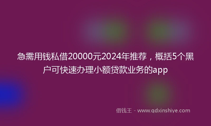 急需用钱私借20000元2024年推荐，概括5个黑户可快速办理小额贷款业务的app