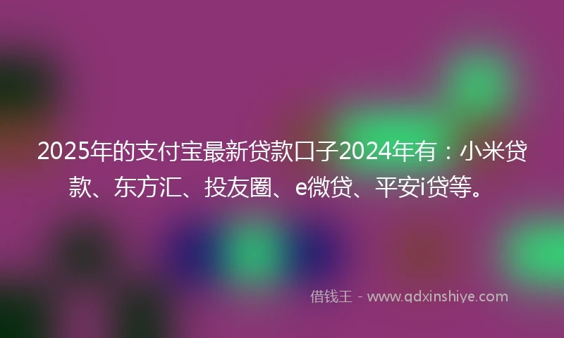 2025年的支付宝最新贷款口子2024年有：小米贷款、东方汇、投友圈、e微贷、平安i贷等。