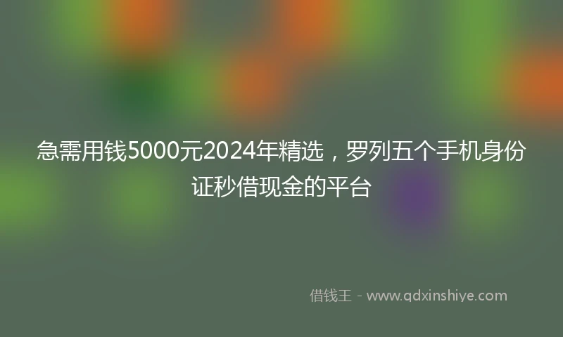 急需用钱5000元2024年精选，罗列五个手机身份证秒借现金的平台