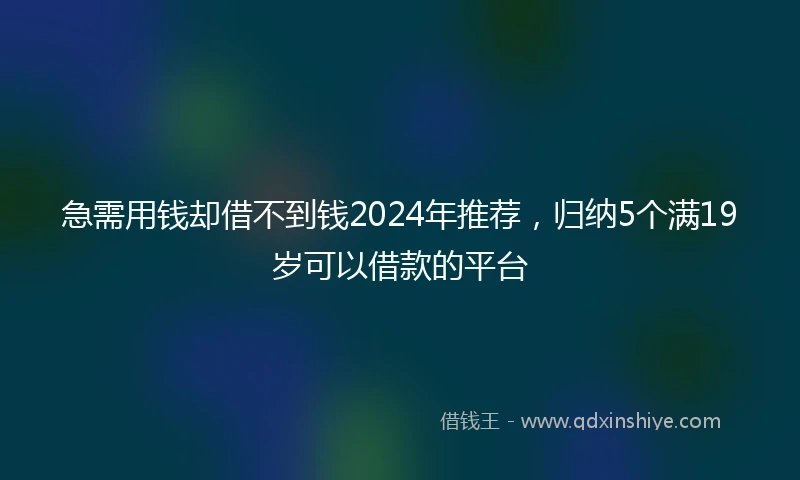 急需用钱却借不到钱2024年推荐，归纳5个满19岁可以借款的平台