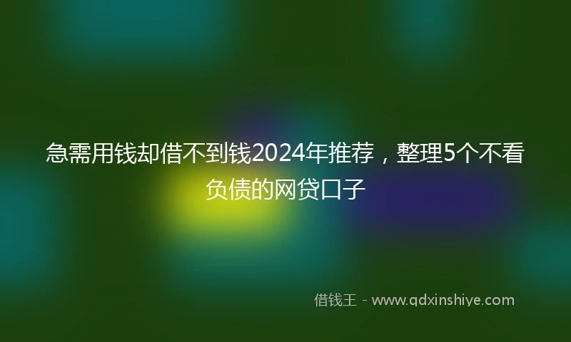 急需用钱却借不到钱2024年推荐，整理5个不看负债的网贷口子