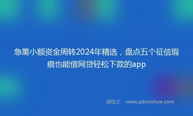 急需小额资金周转2024年精选，盘点五个征信瑕疵也能借网贷轻松下款的app