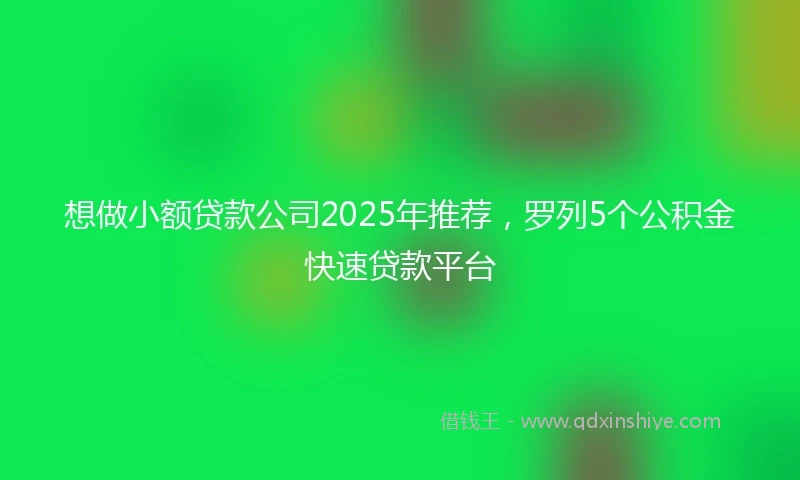 想做小额贷款公司2025年推荐，罗列5个公积金快速贷款平台