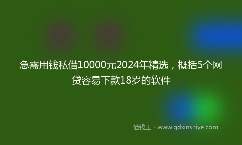 急需用钱私借10000元2024年精选，概括5个网贷容易下款18岁的软件