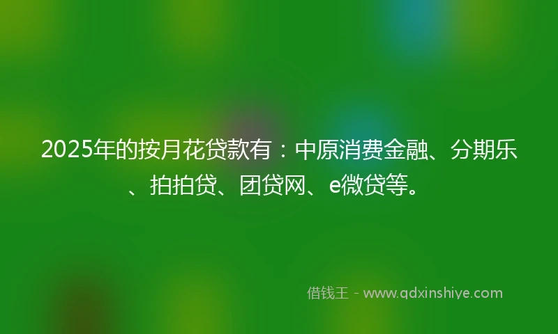 2025年的按月花贷款有：中原消费金融、分期乐、拍拍贷、团贷网、e微贷等。