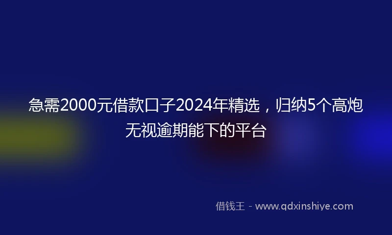 急需2000元借款口子2024年精选，归纳5个高炮无视逾期能下的平台