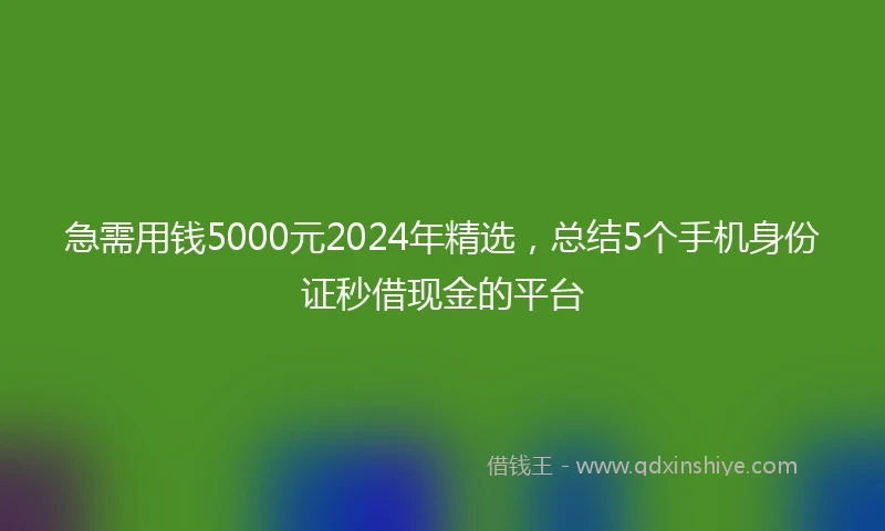 急需用钱5000元2024年精选，总结5个手机身份证秒借现金的平台