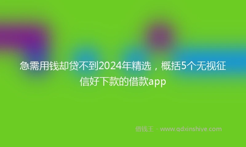 急需用钱却贷不到2024年精选，概括5个无视征信好下款的借款app
