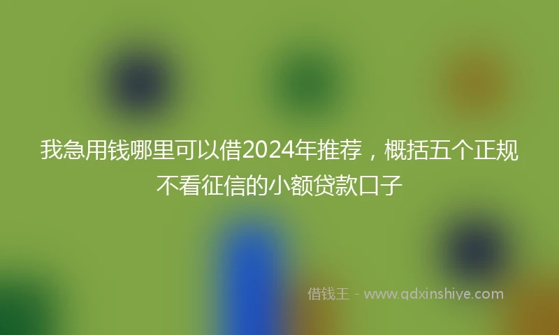 我急用钱哪里可以借2024年推荐，概括五个正规不看征信的小额贷款口子