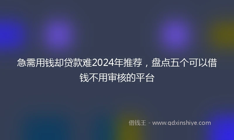 急需用钱却贷款难2024年推荐，盘点五个可以借钱不用审核的平台